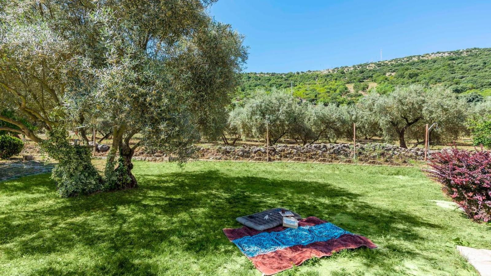 Casa Rural El Ciruelo Loco Alfarnate By Ruralidays Alfarnatejo Exteriér fotografie